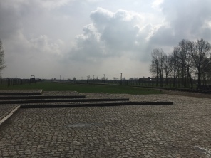 Auschwitz-Birkenau Foto: nw2016